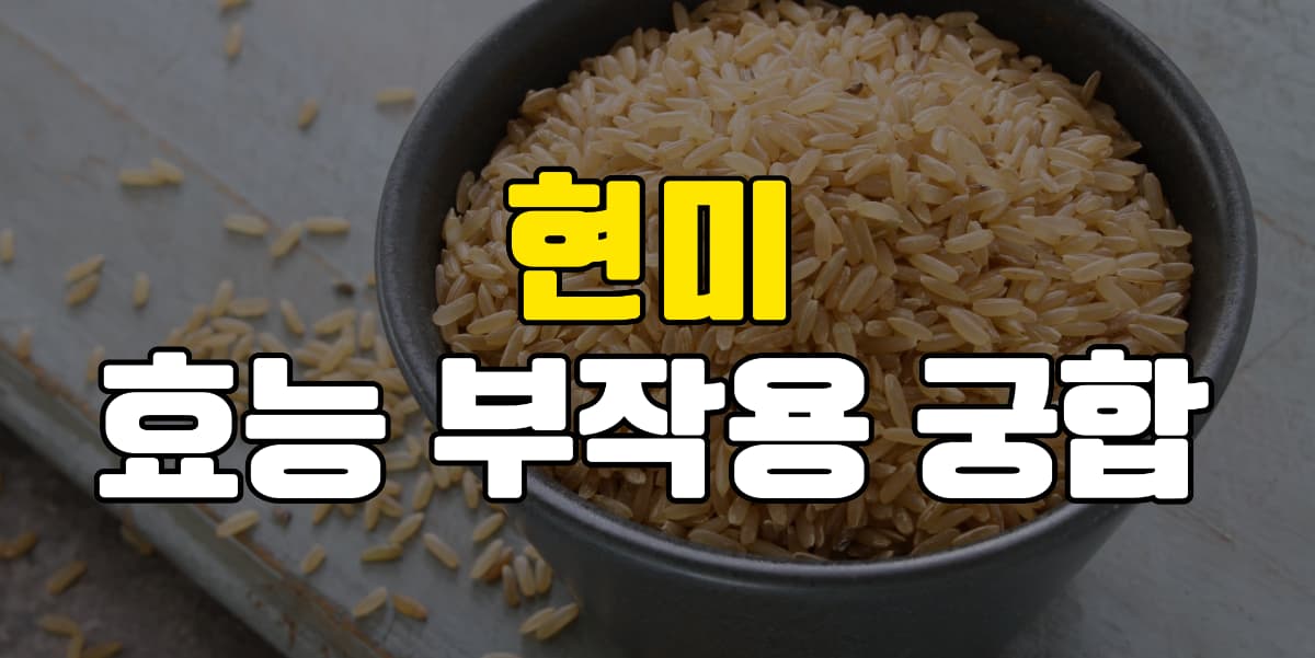 현미 영양성분 효능 부작용 궁합 - 건강해 현미 영양성분 효능 부작용 궁합 - 건강해
