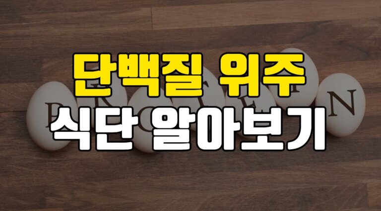 단백질-식단